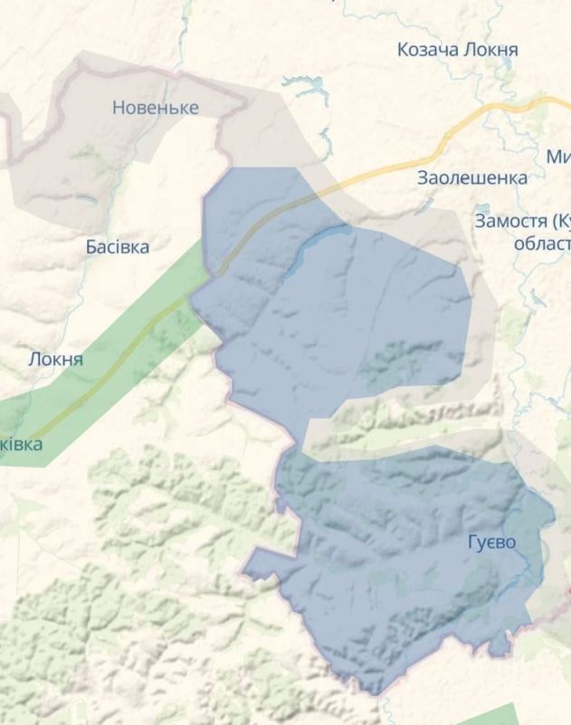 Российская Армия уже зашла на несколько километров в Сумскую область и может продвинуться в Запорожской, заявляет нардеп Безуглая