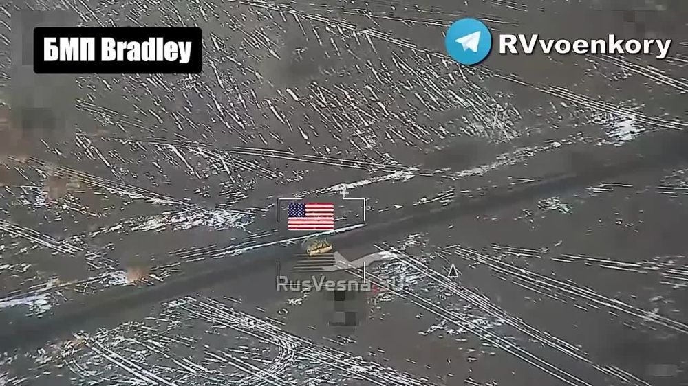    Bradley   