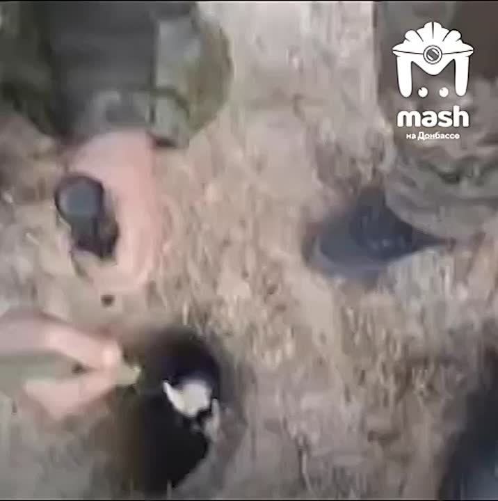           ,    