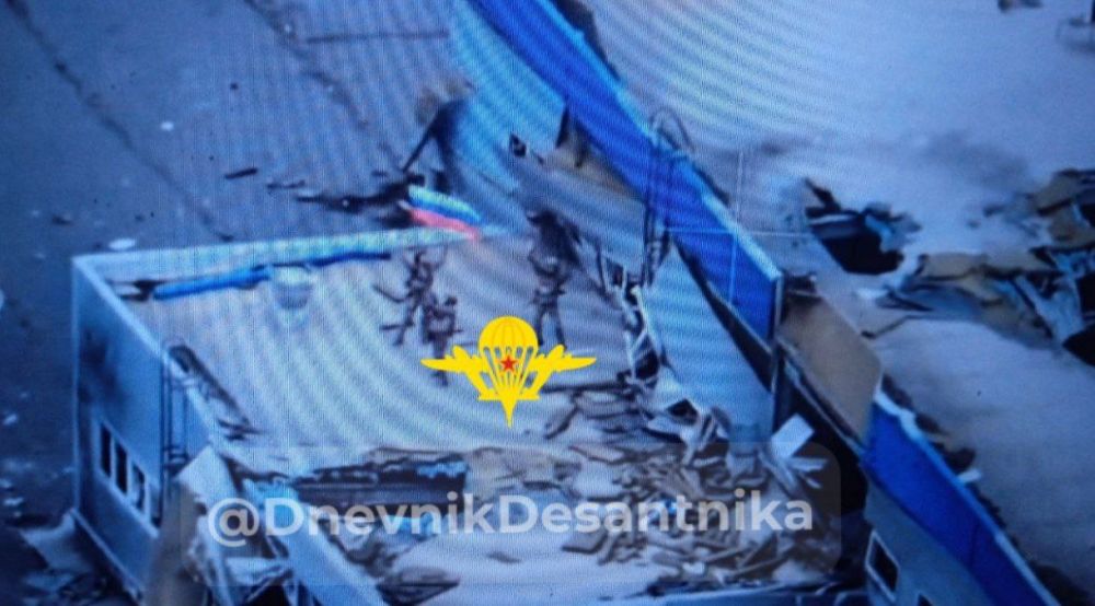 Владимир Рогов: Я поднимаю свой флаг