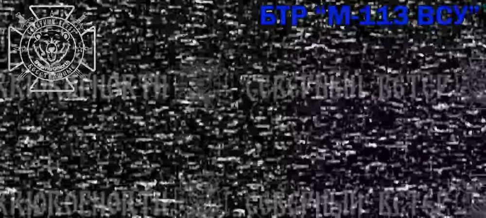  113            
