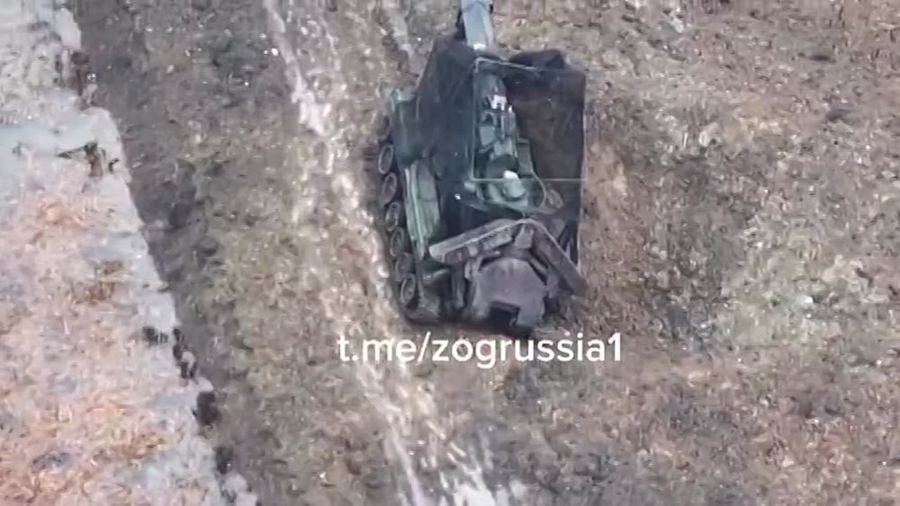               ,     -1    &quot;&quot;,  Telegram- &quot;ZOG 2.0&quot;
