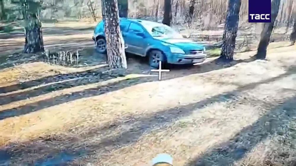  FPV-         