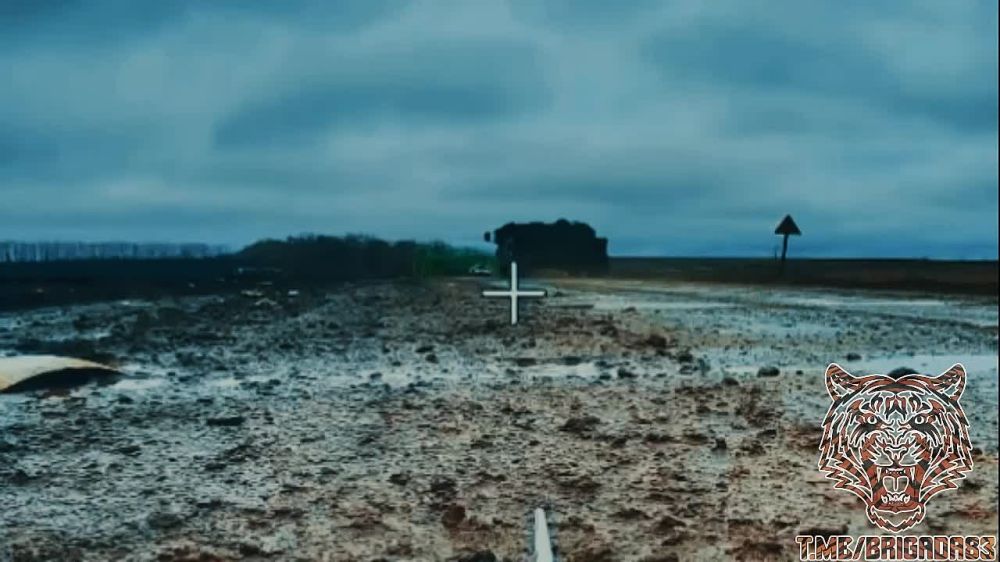  .     &quot;&quot;            -     