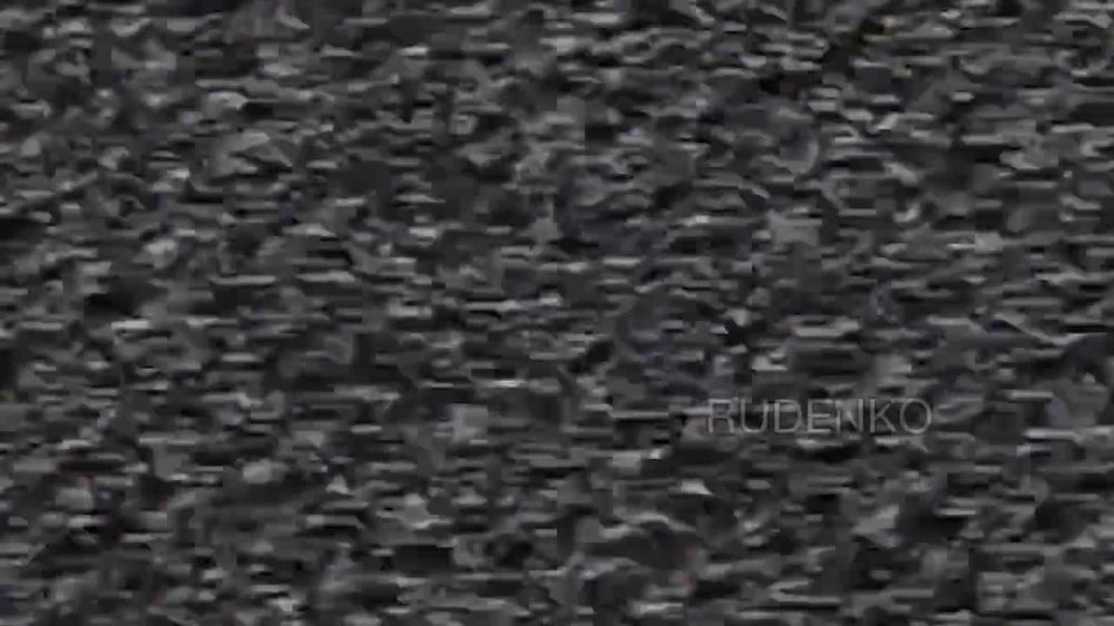  :      FPV-      