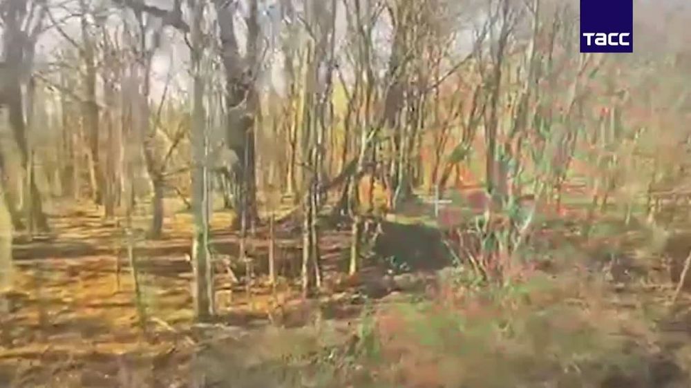  FPV-     &quot;&quot;        ,    