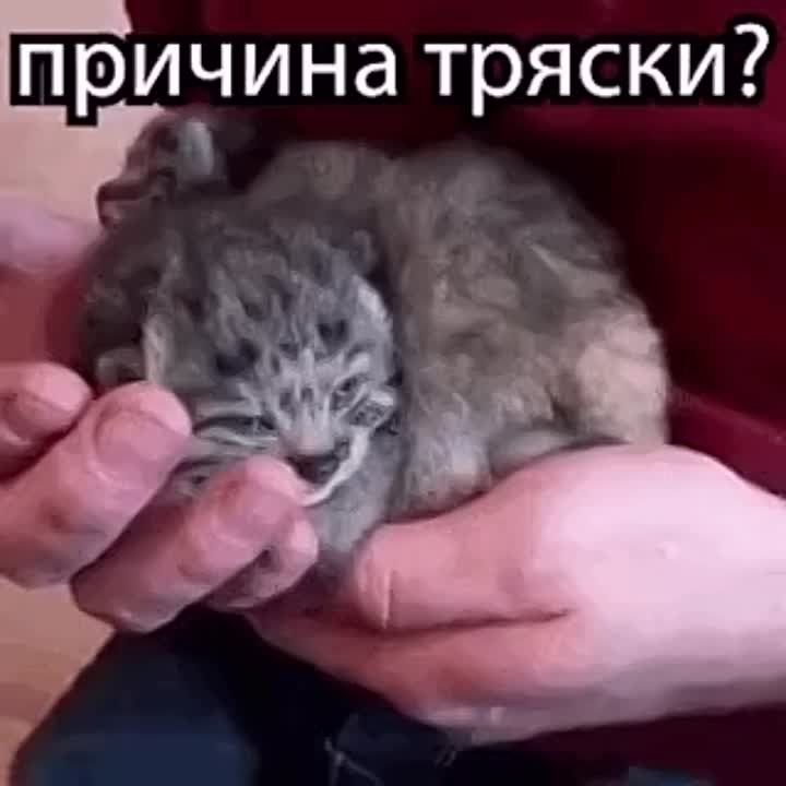 &quot;        &quot;