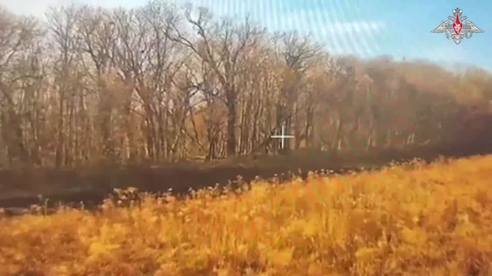  :  FPV-          