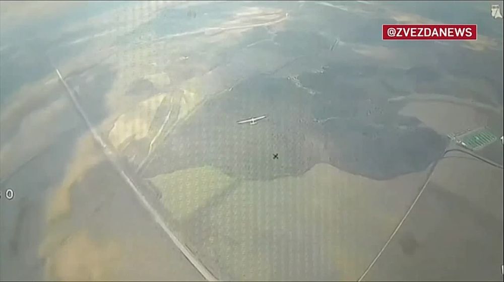  :   FlyEye      
