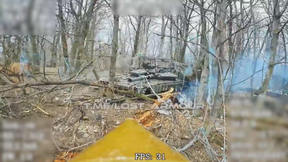 Оптоволоконная коррида в сумских лесах