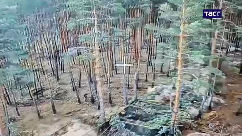    FPV-     ,    