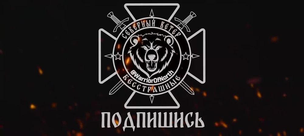 Они выбрали жизнь: кадры сдачи в плен ВСУшников в Белгородском приграничье