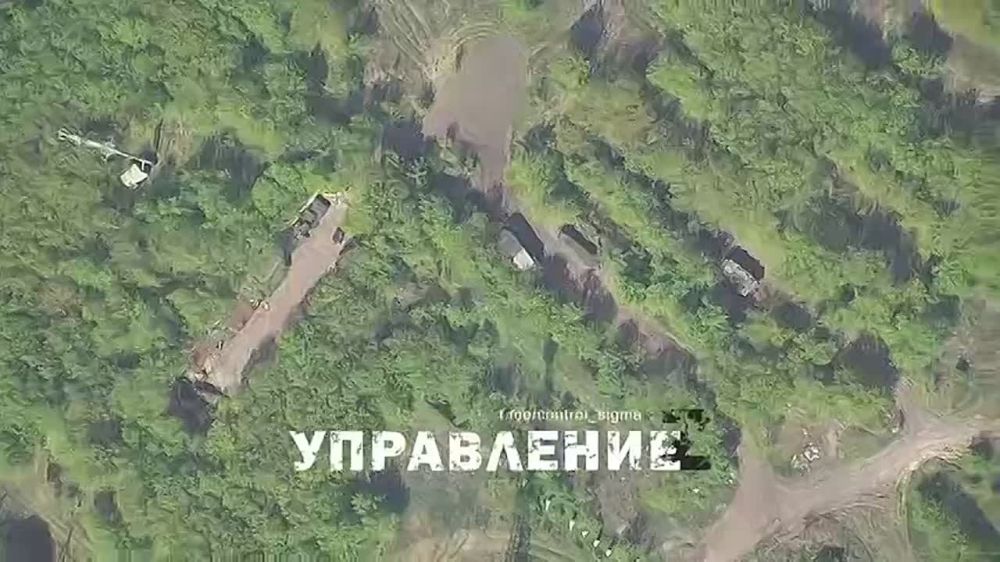 :  ,   Z