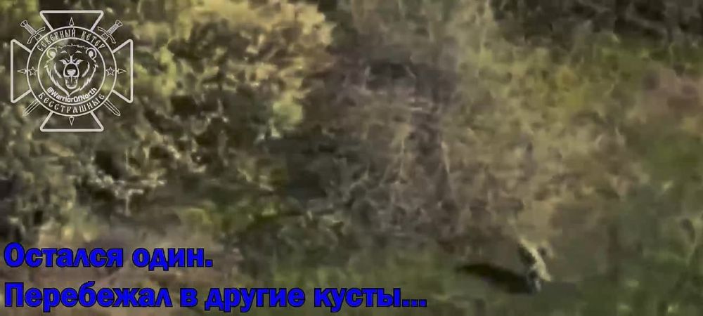     :     