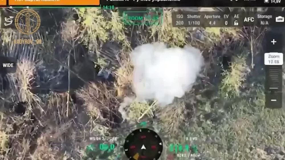  :  .   ,      -߻      -,        ...