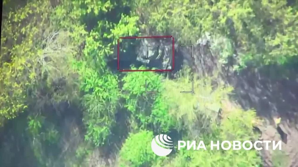 Военнослужащие группировки войск "Север" уничтожили с помощью барражирующего боеприпаса "Ланцет" БМП Bradley в Сумской области Украины, сообщили в Минобороны России