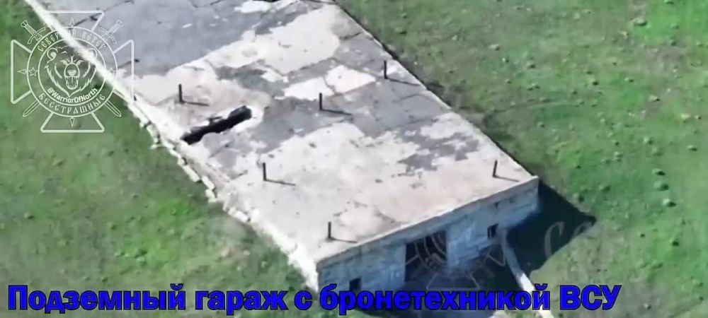    FPV-    ,       