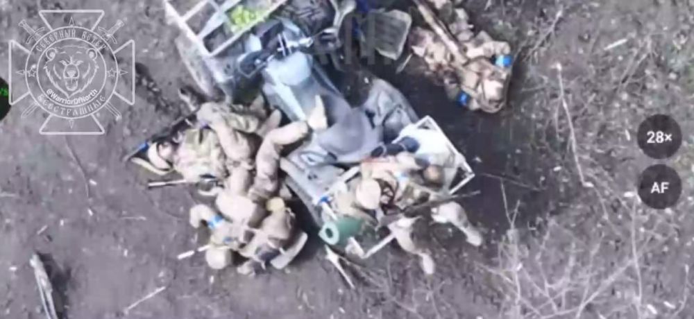 Очередная авантюра Зеленского: промежуточные итоги наступления противника на поселок Тёткино