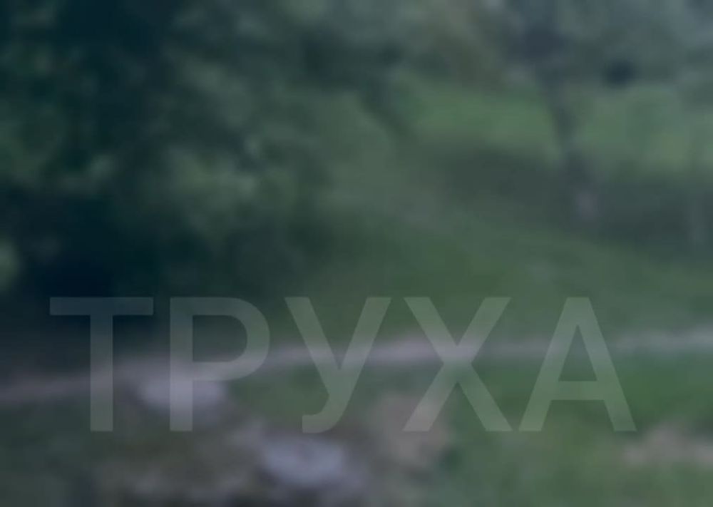 Стамбул — Стамбулом, а ГЕРАНИЗацию тыла противника никто не отменял!