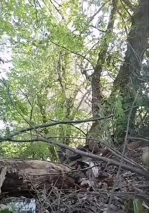  .    ,     