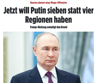        :     ,   ,    Bild