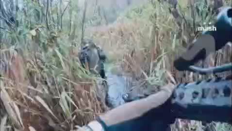 Украинская ДРГ попыталась зайти на территорию России в Белгородской области