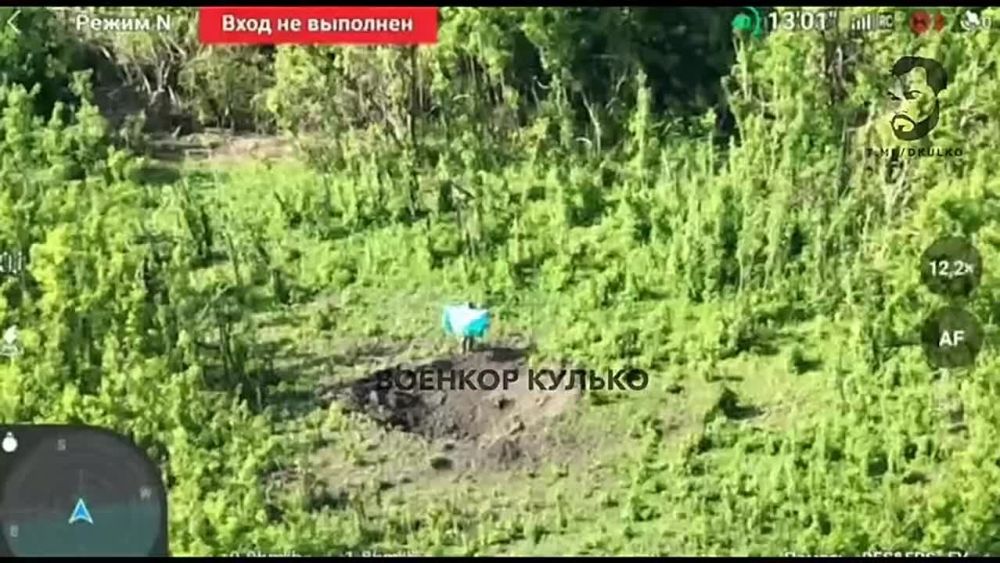 Беловоды Десантники 83-й ОДШБР ВДВ подняли флаг ВДВ на южной окраине населенного пункта Беловоды Сумской области (ВИДЕО)