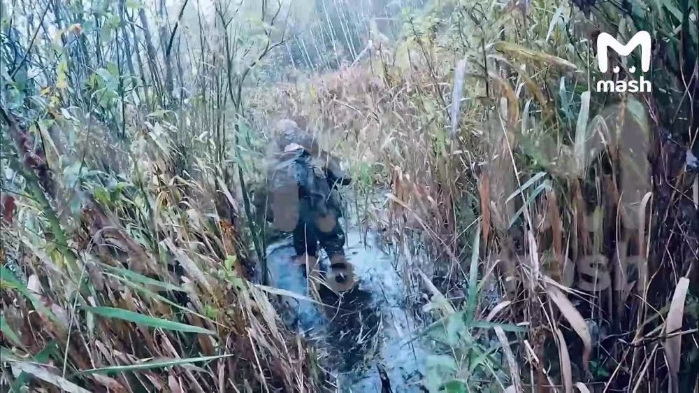 ВСУшная ДРГ попыталась зайти на территорию РФ в Белгородской области