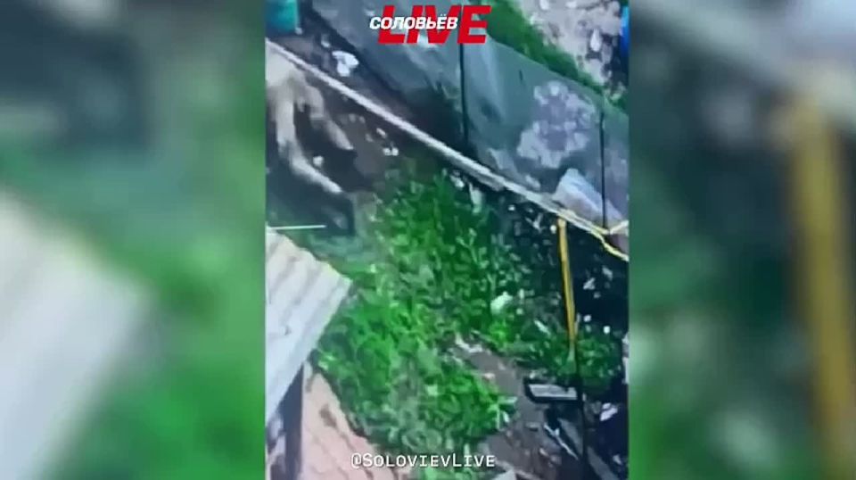 Российский триколор развевается в населённом пункте Водолаги Сумской области