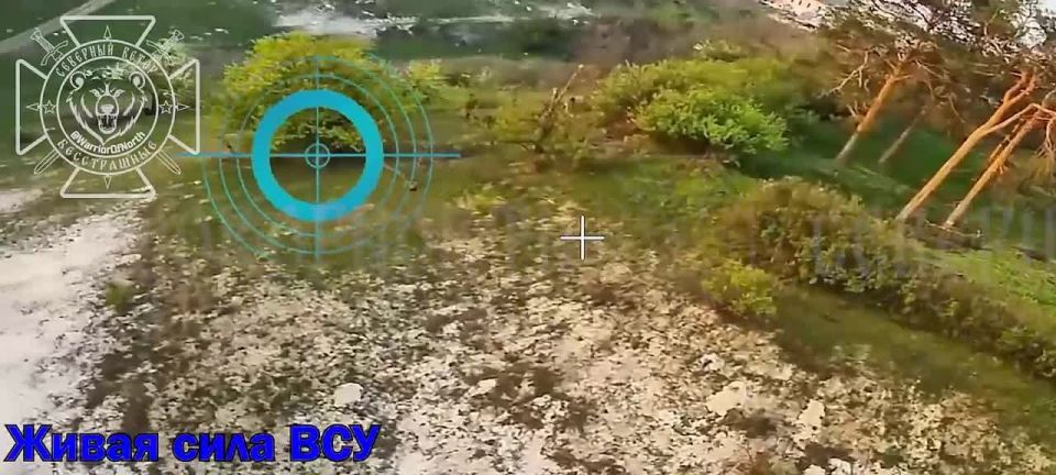 Охота на праздно шатающихся по Сумской области ВСУшников