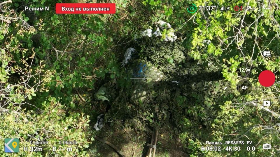 ��� ������: � �������� ����������� �������� ���� ������ �� ������ ���� ��� "�����" �� �� ����������� � ������������� ������ ������-����������������