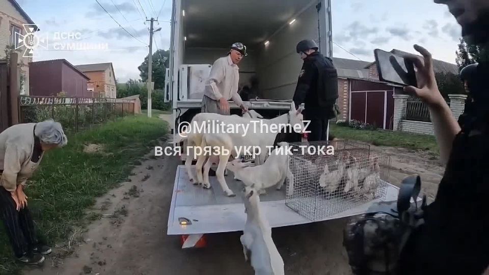 Итоги Курской операции ВСУ: население Сумской области экстренно эвакуируется в тыловые районы региона