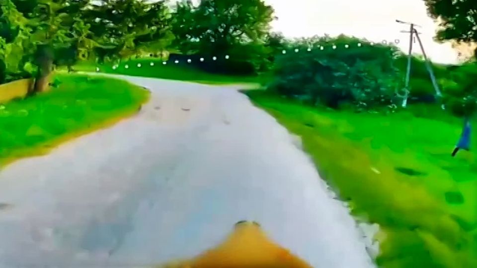 Житель Сумской области поприветствовал российский FPV-дрон