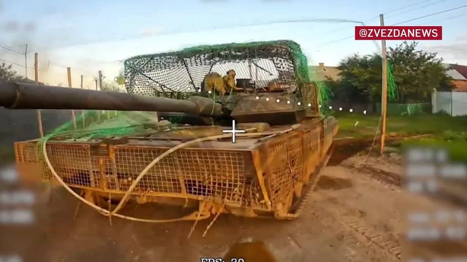         :        Leopard 26