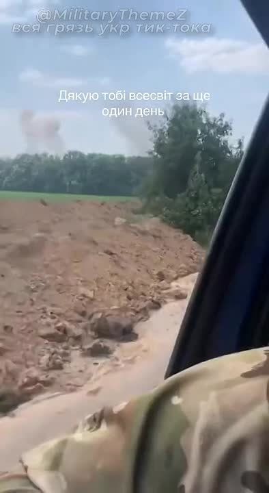             ,   ,    