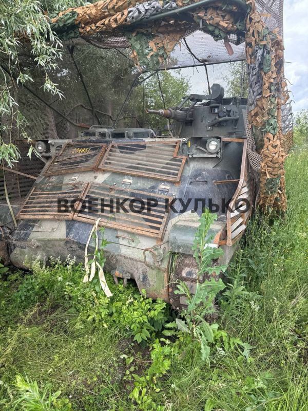  60-                Pbv 302 (Pansarbandvagn 302)  