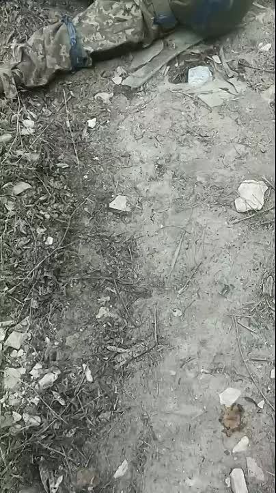          . ,       48   