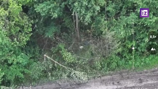  FPV-   -          