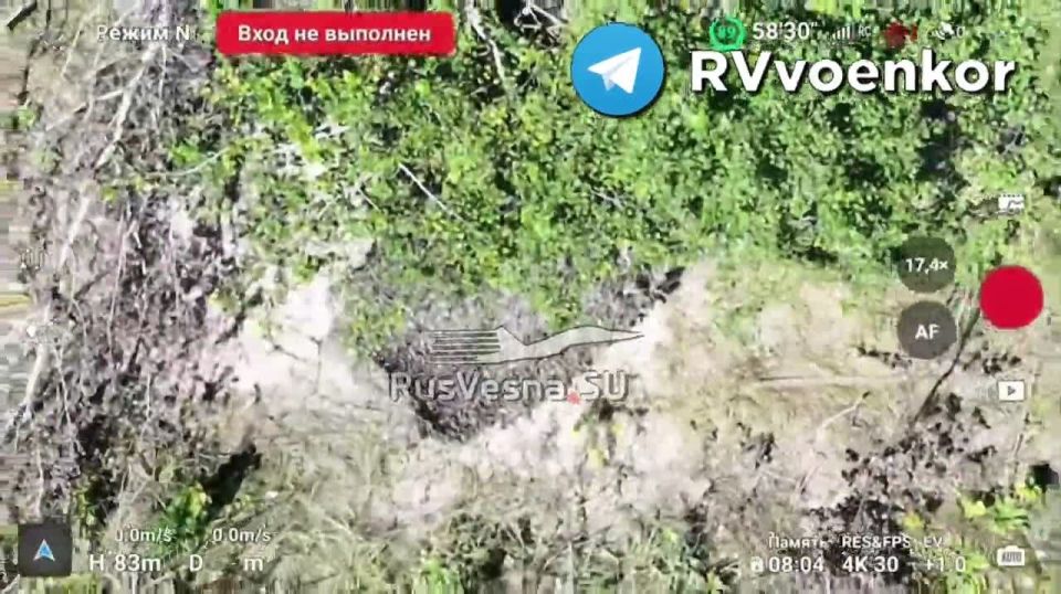 ВКС России накрывают скопления сил врага, поддерживая наступление в Сумской области