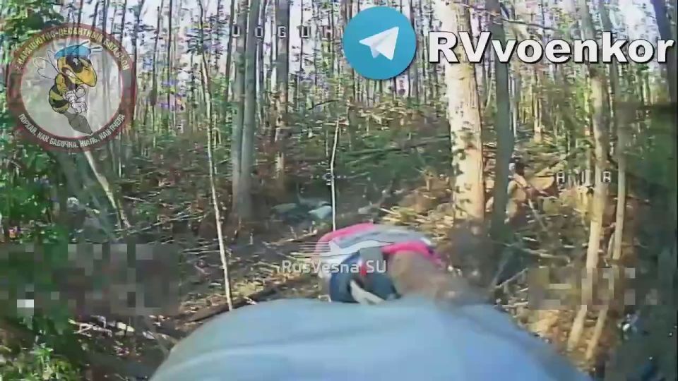 Охота на автотранспорт ВСУ в Сумской области, в исполнении расчётов FPV-дронов 137-го парашютно-десантного полка ВДВ