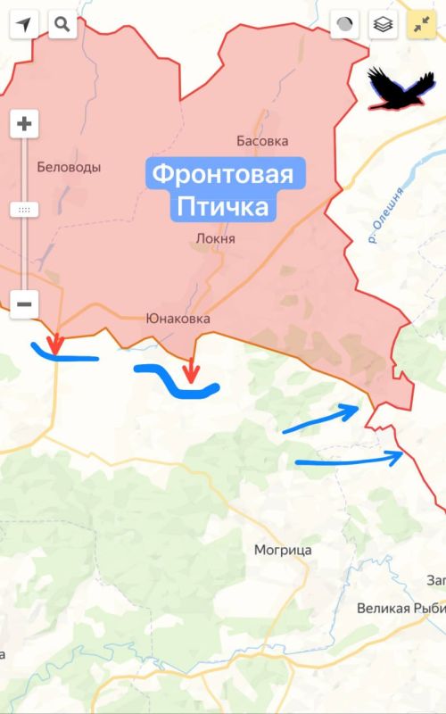В Курской области пресечена попытка прорыва ВСУ
