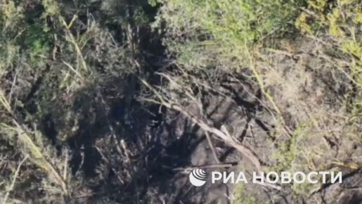  83-  -           FPV-         ,   ...