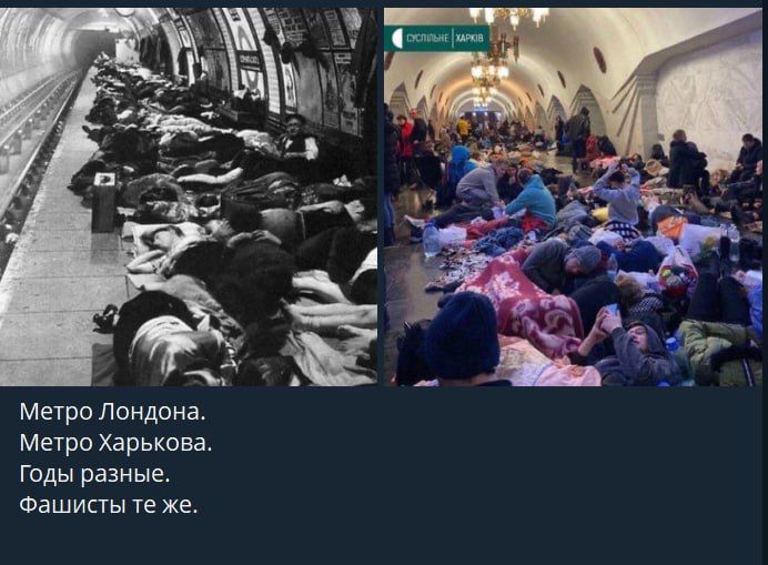 Громадяне продолжают тщетные попытки подмазаться к статусу "жертва фашизма"