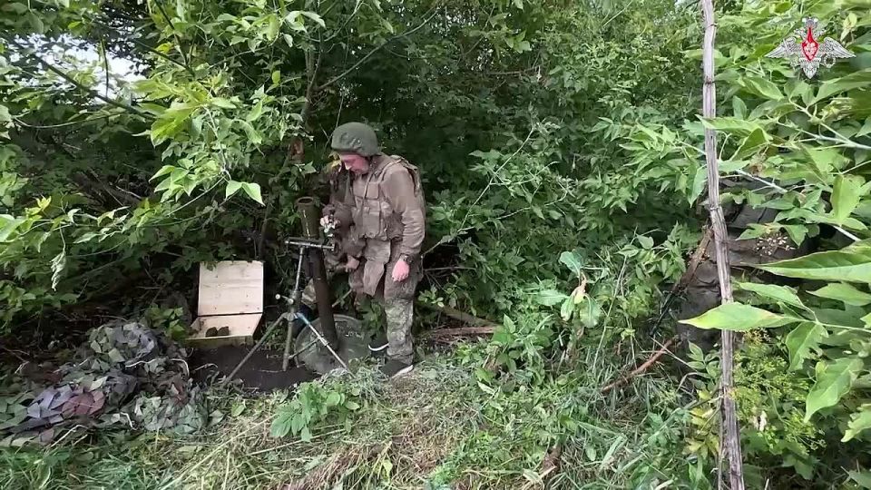 Минобороны России: Военнослужащие группировки войск «Север» продолжают наносить удары по огневым позициям, военным объектам и технике ВСУ в зоне спецоперации
