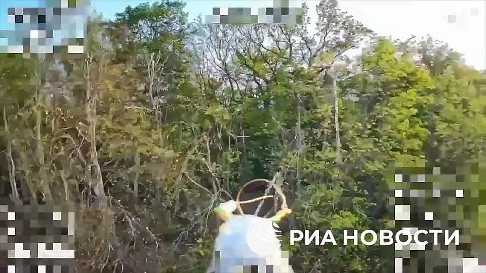 Расчет БПЛА российской группировки "Север" уничтожил в Сумской области французский миномет MO-120-RT-61 ВСУ вместе с личным составом, состоявшим из иностранных наемников