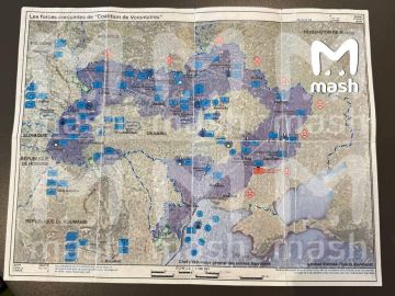 Раскрыта схема раздела Украины: Макрон и компания готовят ввод войск ради обогащения