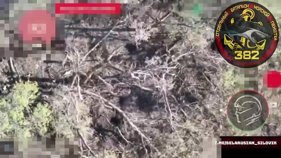 Работа наших подписчиков-операторов FPV из 810-й бригады 382-го батальона на Сумском направлении
