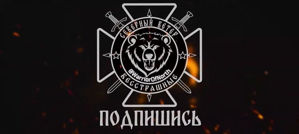 В Сумской области скопление ВСУшников в лесополосе навестил кассетный "Искандер" и все хорошо прополол