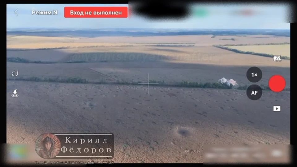 Пропололи лесополосу с укропом