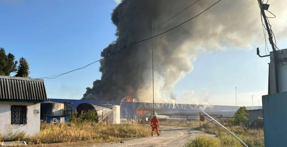 ������� ���������: ������ ����� �� ����� �� �������